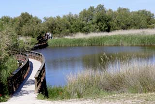 Ecoturismo Tablas de Daimiel