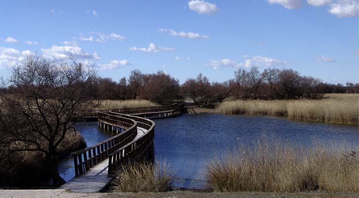 Las Tablas de Daimiel