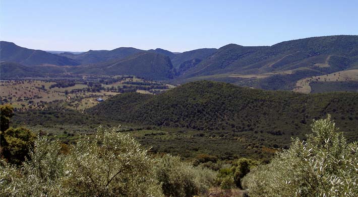 Valle de Alcudia