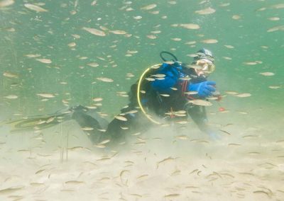 Buceo en lagunas de Ruidera