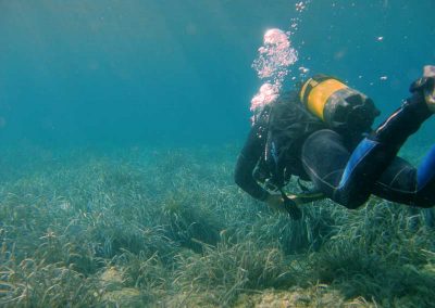 Buceo en Costa Cálida