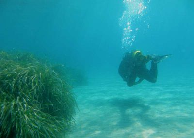 Mojácar buceo