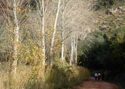 Rutas de senderismo en Lagunas de Ruidera